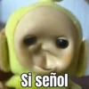 Si señol