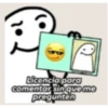 Flork licencia 13