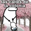 las calles de la colonia geysioy