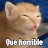 Que horrible