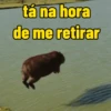 tá na hora de me retirar
