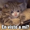 En visto a mi?
