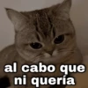 al cabo que ni quería