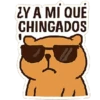 ¿Y A MI QUE CHINGADOS