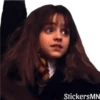 HP ⚡️ Harry, Ron,Hermione 🪄 24