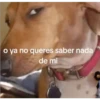 o ya no queres saber nada de mi