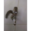 squirrels 16