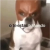 o te estas bañando
