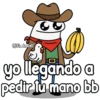 Flork-varios 👑😌✨ 10