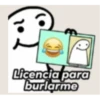 Flork licencia 15