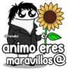Flork-varios 👑😌✨ 11