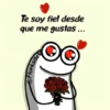 Flork frases varias 😎🤔✨ 5