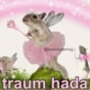🧚🏻‍♀️🪄🔮HADA memes🔮🪄🧚🏻‍♀️ 13