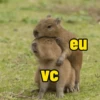 VC eu