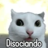 🌈🐈 Gatos MOOD 🥭🎡🏖️ 8