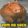 vem no soCO