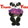 CUTE PANDA 20