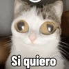 Si quiero