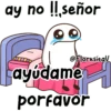 Flork en la camita 🥹 10