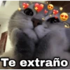 geysioy Te extraño