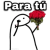 Para tú geysioy