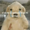 o ya no queres ser mas mi amiga