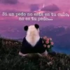 Surtiditos💞22🇵🇪Clásica 24