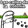 Las calles de la colonia उ geysic 001