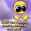 Sapecagens 7
