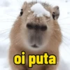 oi puta