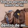 Todo se derrumbó dentro de mi geysioy dentro de mi..