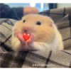 sending love 20