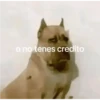 o no tenes credito