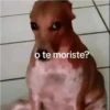 o te moriste?