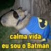 calma vida eu sou o Batman