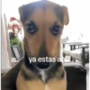 ya estas an