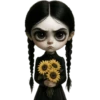 Wednesday flowers 💐  13