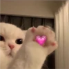 sending love 25