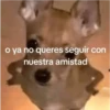 o ya no queres seguir con nuestra amistad