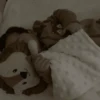 Bebés a mimir 10