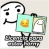 Flork licencia 28