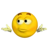 Shrug Confusion
