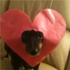 sending love 26