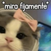🌈🐈 Gatos MOOD 🥭🎡🏖️ 12