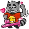 Rubi the Raccoon 🌺🦝 27