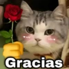 از کارت کار عالی Gracias