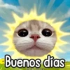 🌈🐈 Gatos MOOD 🥭🎡🏖️ 13