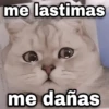 me lastimas Qzysicy me dañas