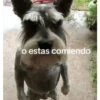 o estas comiendo