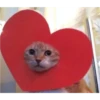 sending love 28